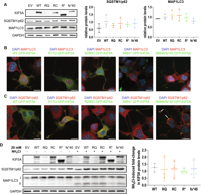alternative hypothesis example in statistics figure 5