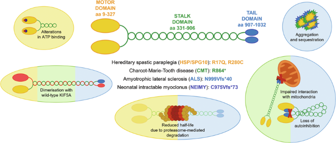 alternative hypothesis example in statistics