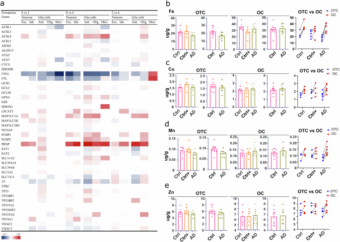 The link between amyloid  and ferroptosis pathway in Alzheimer's disease  progression | Cell Death & Disease