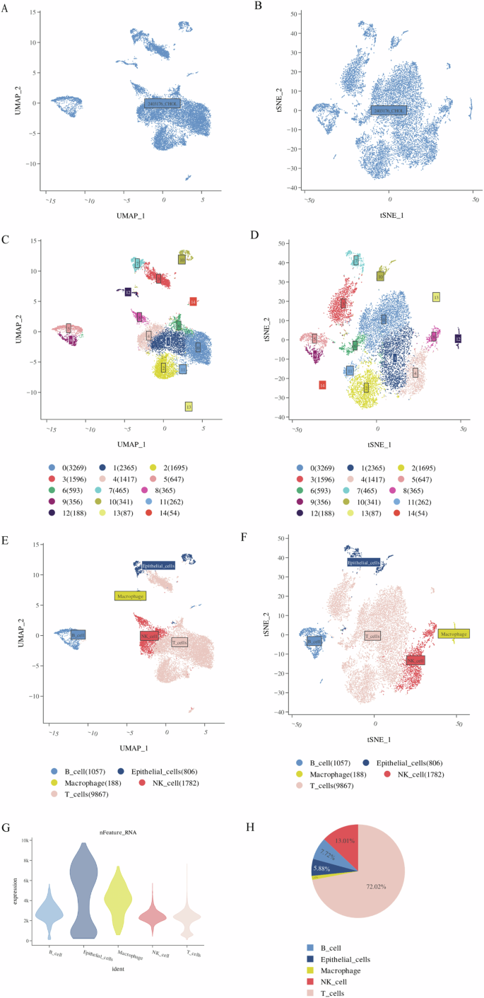 Fig. 1: Basic information on the data and the integration of TIL cells.