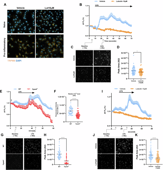 Fig. 2: TRPM8 channel activity controls macrophage response to LPS.
