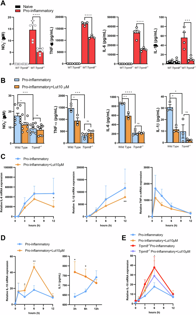 Fig. 3: TRPM8 is required for pro-inflammatory polarization of macrophages.