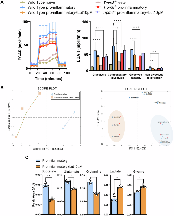 Fig. 4: TRPM8 regulates immunometabolic pathways in macrophages.