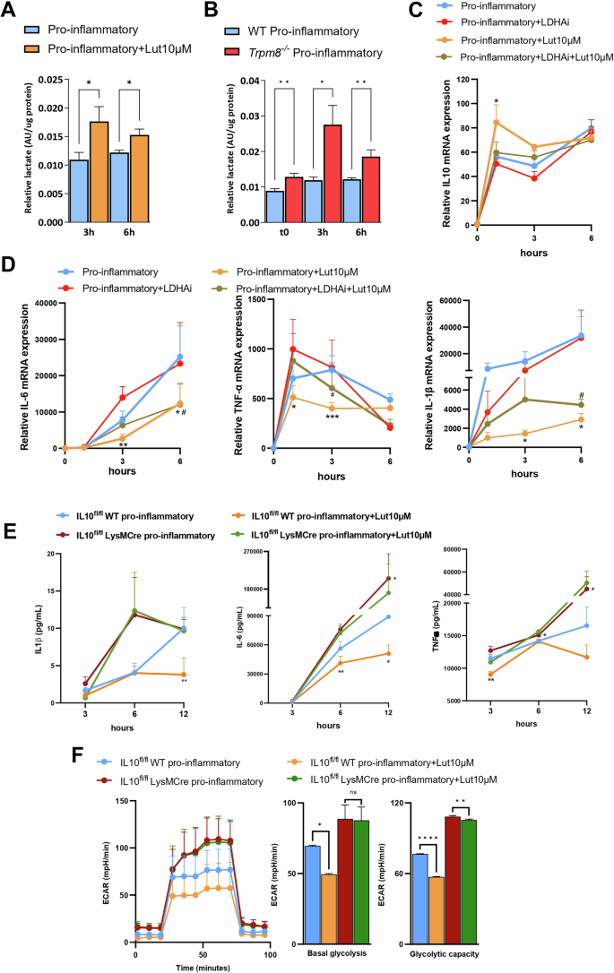Fig. 5: Blocking of TRPM8 induces lactate-mediated activation of IL-10 pathway.