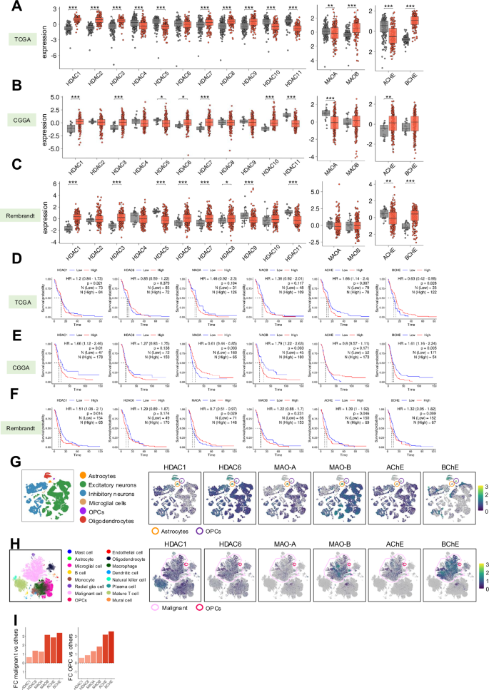 Fig. 1: High levels of target genes in glioblastoma samples.