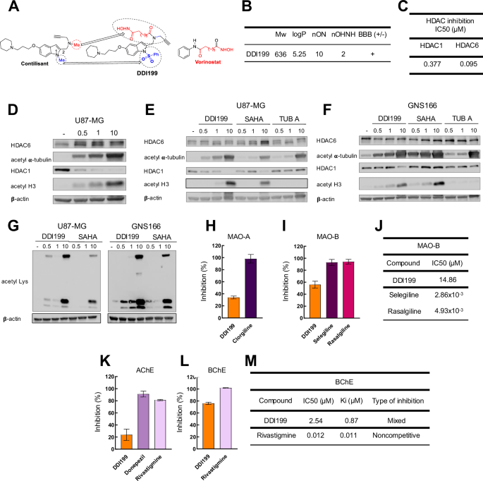 Fig. 2: Novel DDI199 compound inhibits target genes.