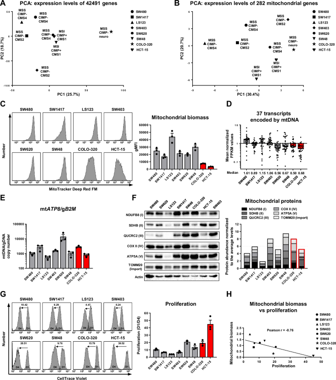 Fig. 1: Multi-parameter analysis of mitochondrial biomass in CRC cell lines.