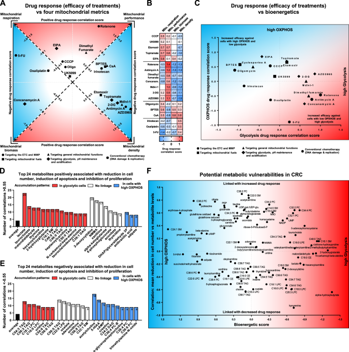 Fig. 6: Linking mitochondrial and metabolic traits to therapy efficacy in CRC.