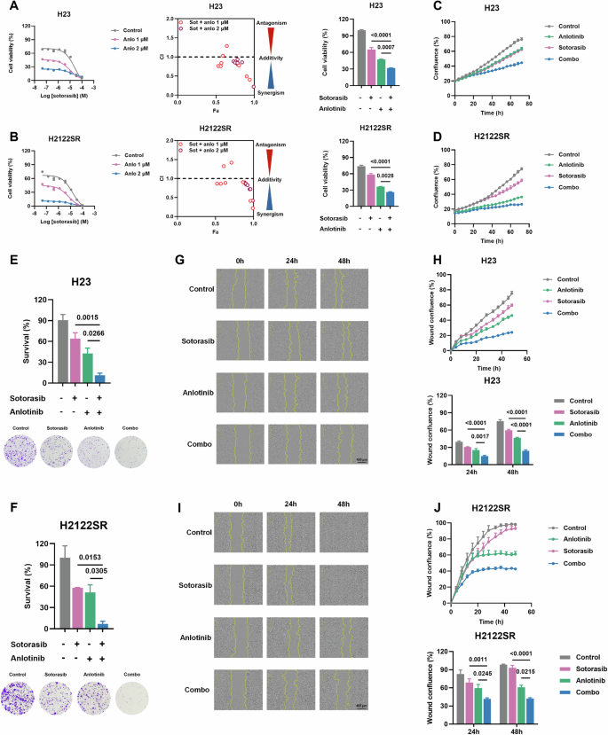 Fig. 1: Anlotinib enhances the sensitivity to KRAS-G12Ci of primary and acquired resistant cells in vitro.