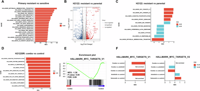 Fig. 3: Transcriptome analysis revealed that MYC is the key regulator of the antitumor effects of anlotinib combined with KRAS-G12Ci.
