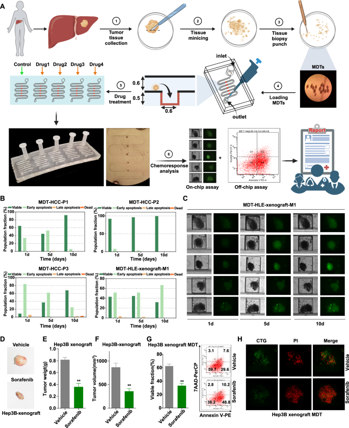 Fig. 1: 3D drug testing work system: micro-dissected tumor tissues (MDT) on a chip.