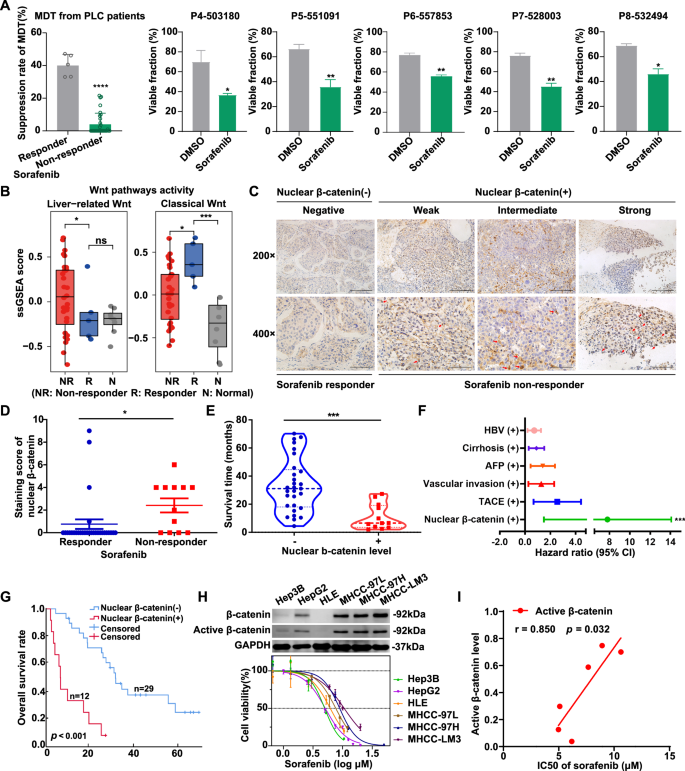 Fig. 2: Wnt/β-catenin activation is associated with sorafenib resistance in HCC.