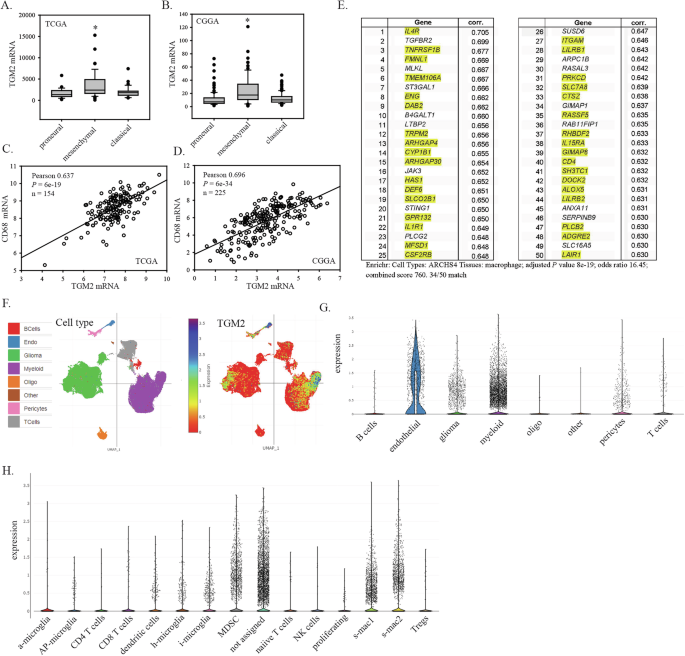 Fig. 1: TGM2 mRNA expression in glioblastoma.