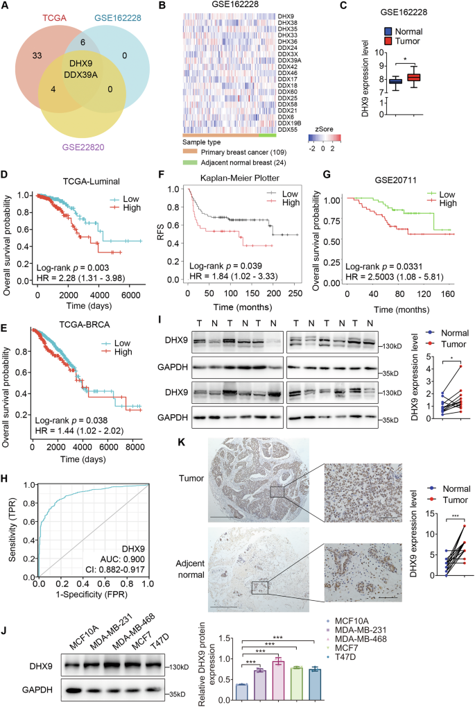 Fig. 1: DHX9 is highly expressed in breast cancer and indicates poor prognosis.
