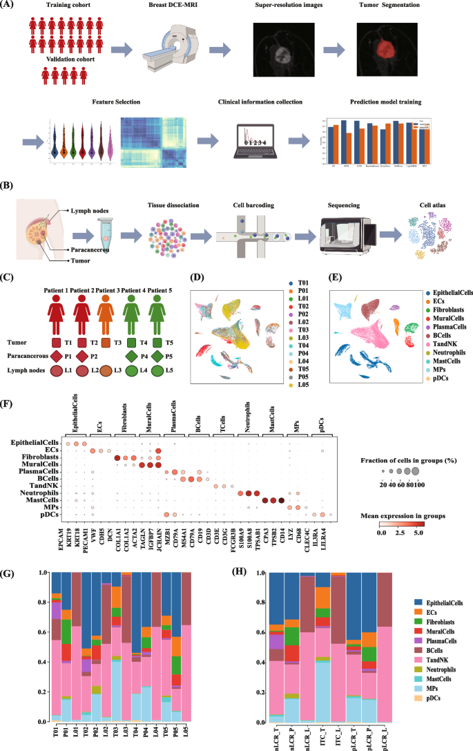 Fig. 1: Study design and workflow.