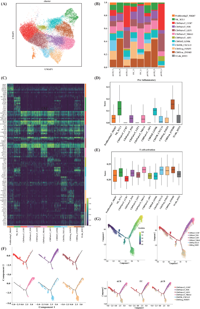 Fig. 3: Reclustering of T and NK cells isolated from 14 samples from five patients with differing axillary responses after NAC (part 1).