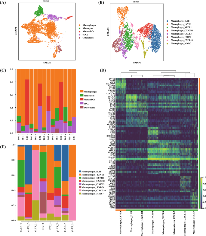 Fig. 5: Reclustering of macrophages isolated from 14 samples from five patients with differing axillary responses after NAC (part 1).