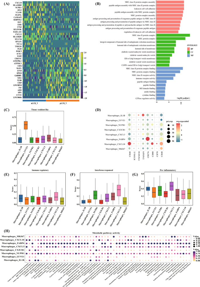 Fig. 6: Reclustering of macrophages identified in 14 samples from five patients with differing axillary responses after NAC (part 2).
