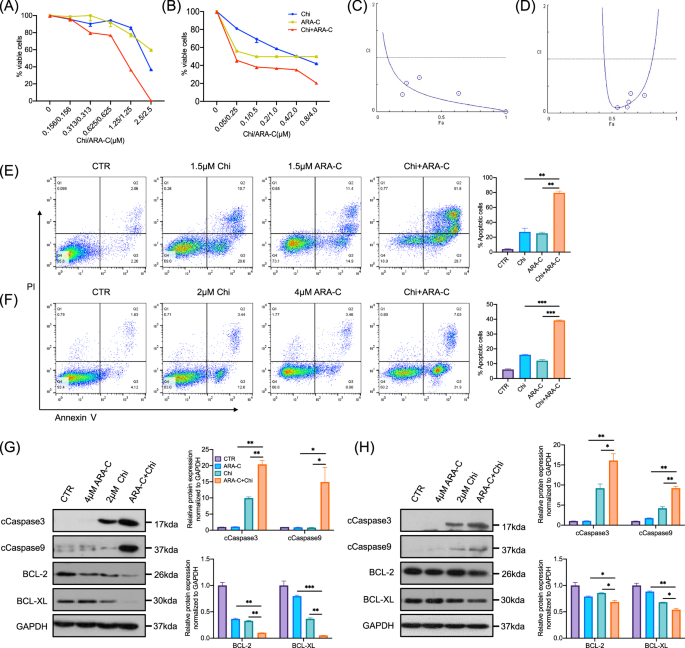 Fig. 1: Synergistic therapeutic effects of chidamide and cytarabine in AML cells.