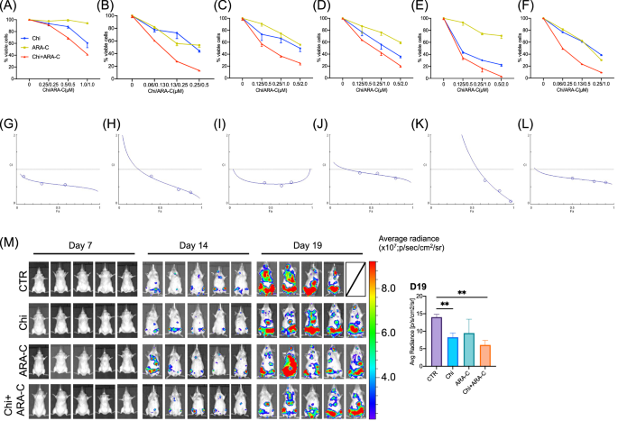 Fig. 2: Synergistic therapeutic effects of chidamide and cytarabine in AML in vivo.