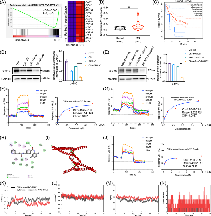 Fig. 3: Chidamide combined with cytarabine synergistically suppresses the MYC signaling pathway.