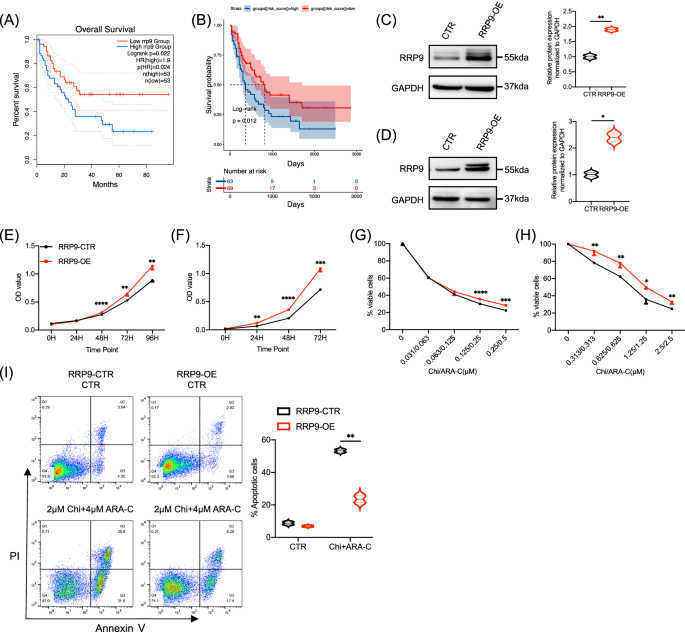 Fig. 5: Elevated RRP9 expression is associated with poor prognosis in AML.