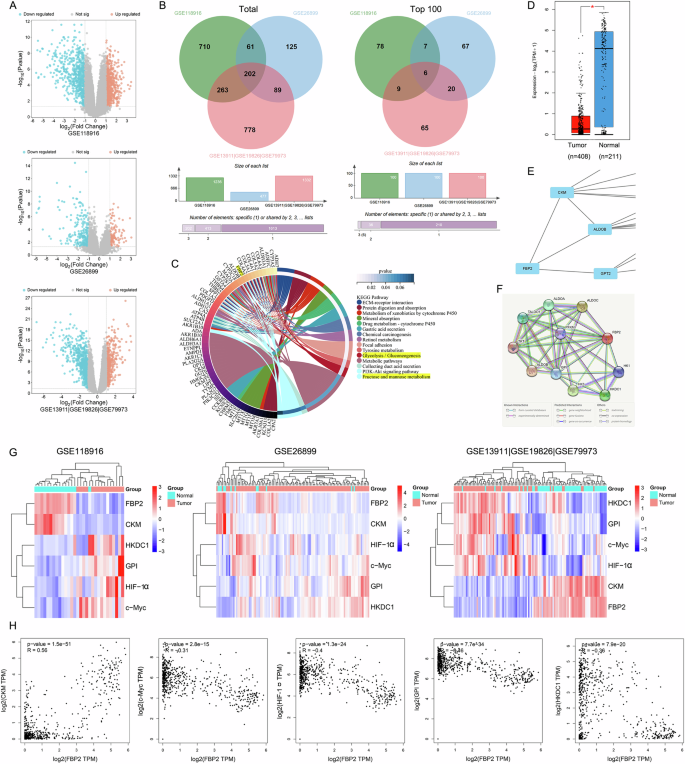 Fig. 1: Comprehensive bioinformatics analysis of key genes involved in GC.