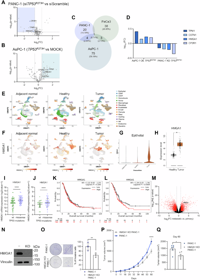Fig. 1: MS analysis of mutp53-dependent secreted proteins in human PDAC cells.