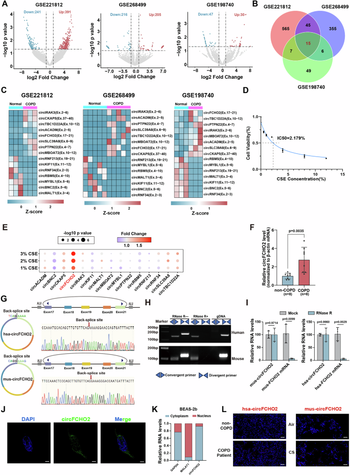 Fig. 1: circFCHO2, a conserved mammalian circRNA, is related to COPD.