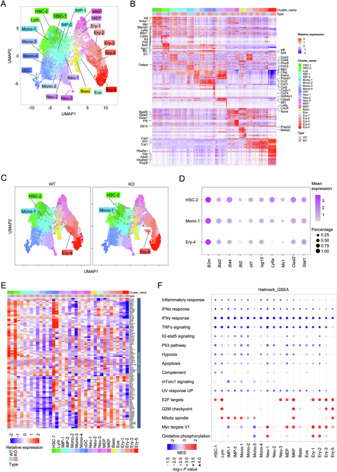 Setd2 ensures the establishment of a precise basal inflammatory state ...