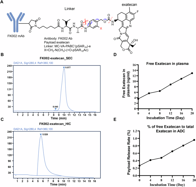 Fig. 3: Characterization of EMP2-targeted antibody-drug conjugates.