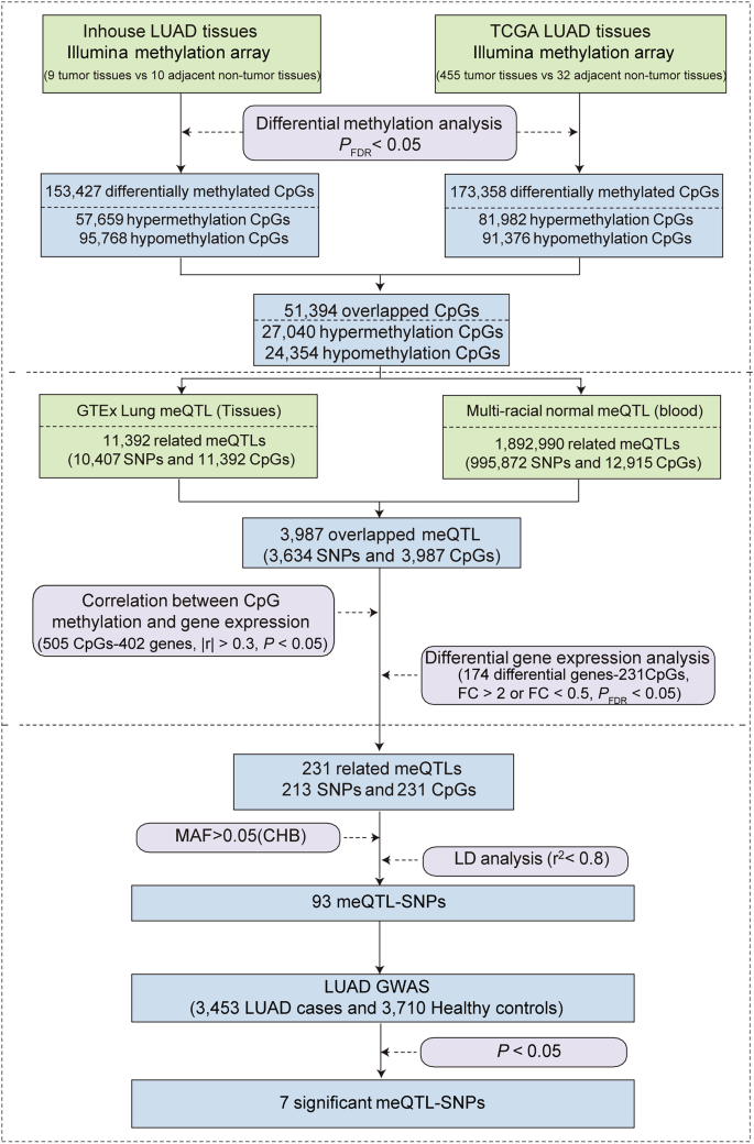 Fig. 1: Schematic diagram of the multi-step analytical workflow for the identification of candidate meQTLs.