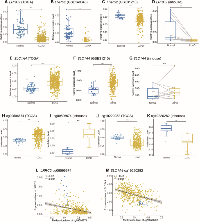Fig. 3: Expression and methylation levels of positive meQTL related genes and CpG sites in LUAD tumor tissues and adjacent non-tumor tissues.