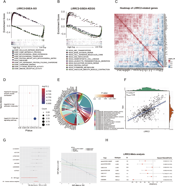 Fig. 5: Comprehensive analysis of LRRC2 expression using public databases.