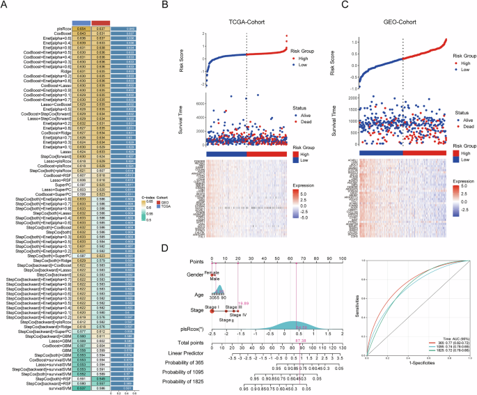 Fig. 6: Development and validation of LRRC2-centered machine learning prognostic models in LUAD.