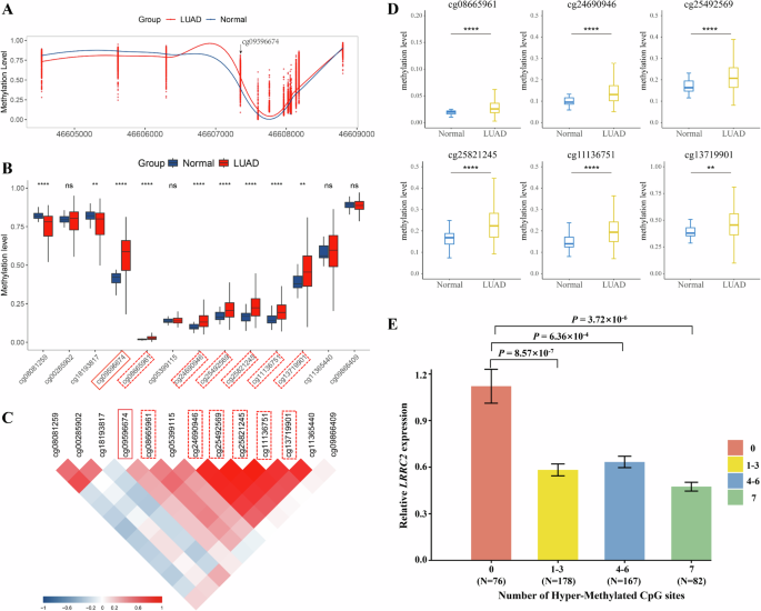 Fig. 8: Integrated analysis of DNA methylation at cg09596674 and adjacent CpG sites, and their joint effect on LRRC2 gene expression in LUAD.