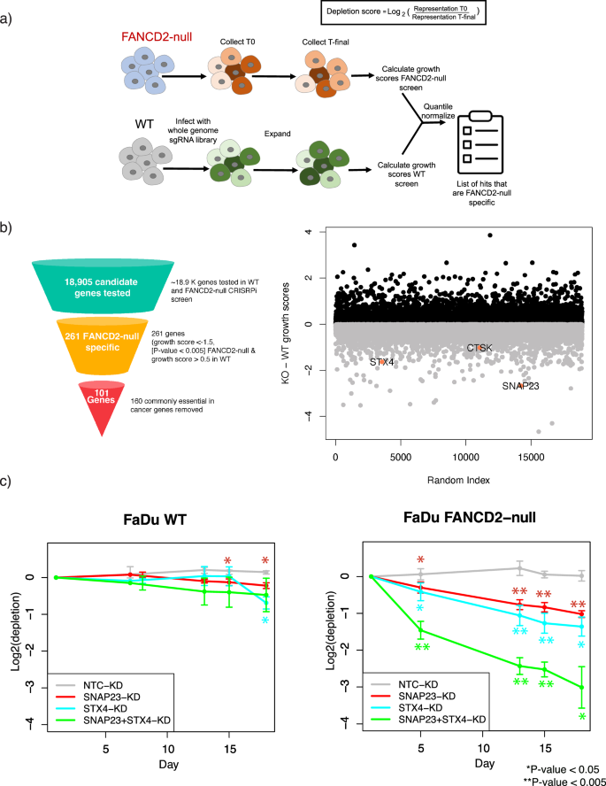 Fig. 1: CRISPRi screen nominates lysosomal biology as an induced dependency upon loss of FANCD2.