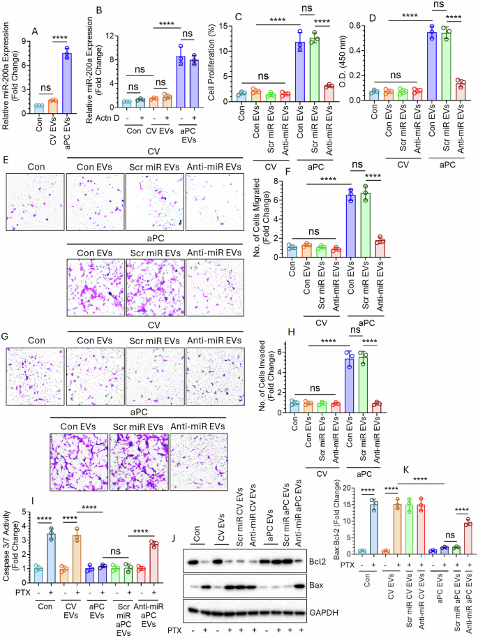 Fig. 5: aPC-EV-mediated transfer of miR-200a promotes proliferation, migration, and invasion of BEAS-2B cells while conferring A549 cells resistance against PTX.