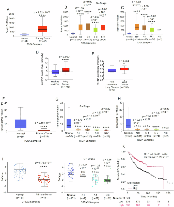 Fig. 7: Up-regulation of miR-200a and down-regulation of miR-200a target, SOX17 was observed in LUAD patients as compared to healthy control.