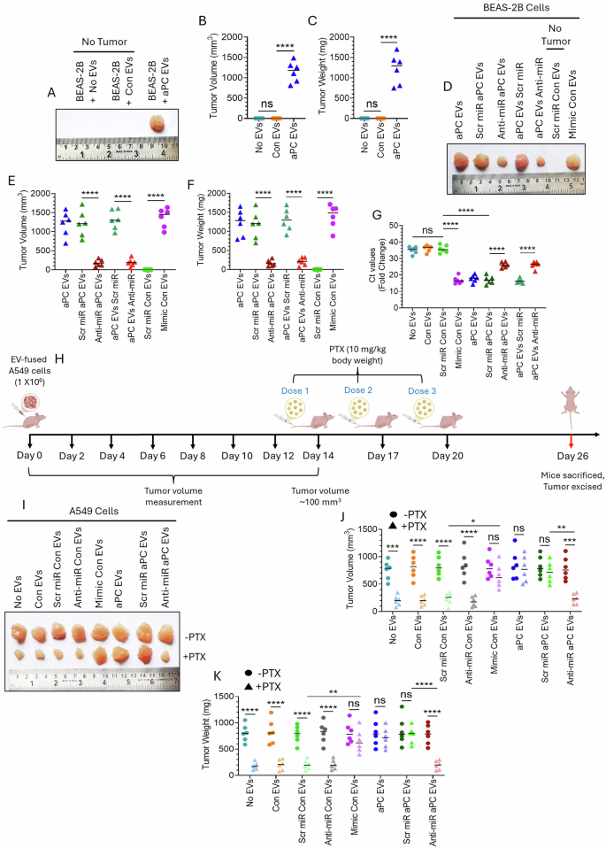Fig. 8: aPC-released EVs promote proliferation, metastasis, and confer chemoresistance in vivo via miR-200a transfer.