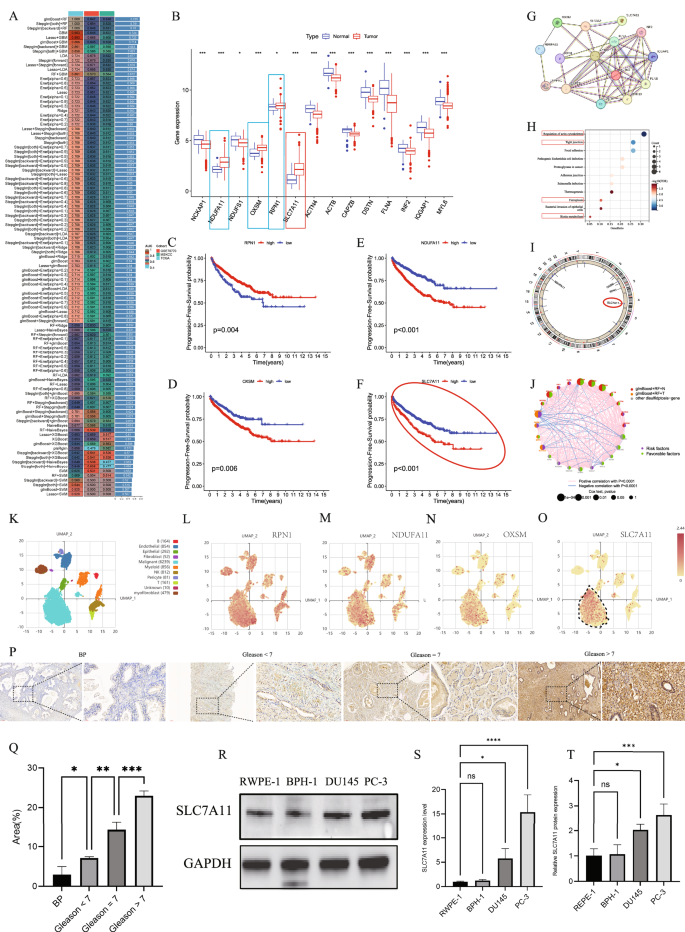 Fig. 1: Analysis of biomarkers in prostate cancer.