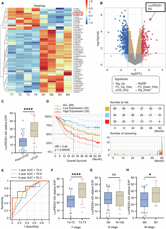 Fig. 1: LncPEDS1-AS is highly expressed in UTUC and is associated with poor prognosis in UTUC patients.
