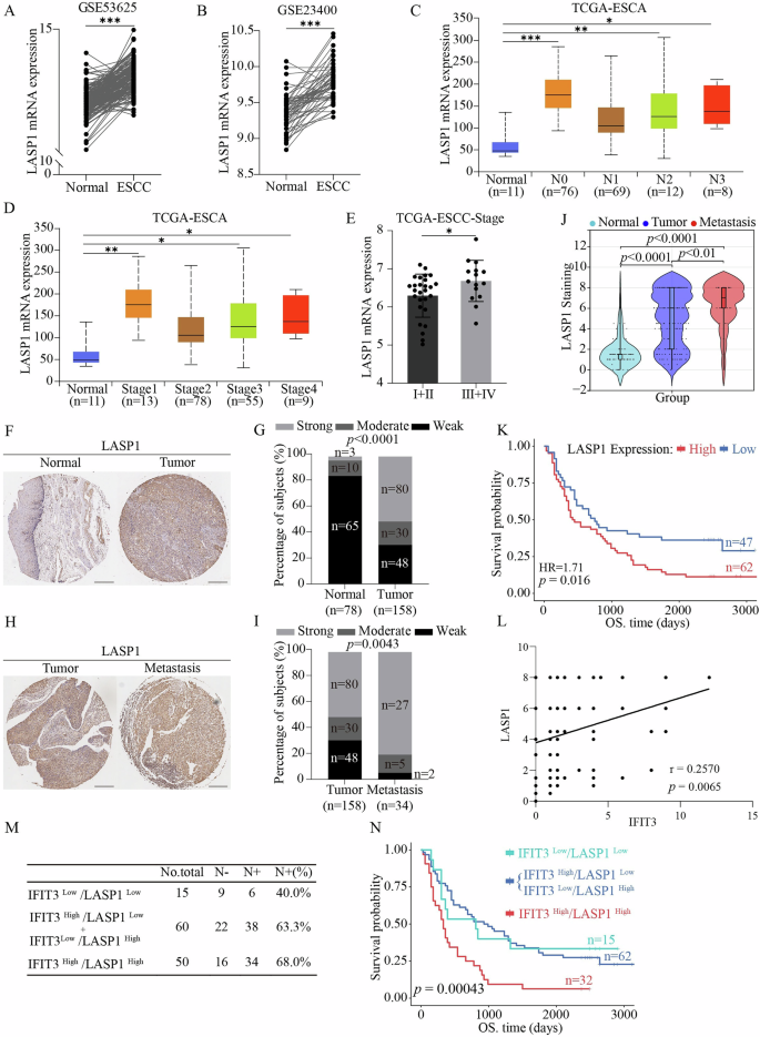 Fig. 7: Clinical value of IFIT3 and LASP1 in ESCC patients.