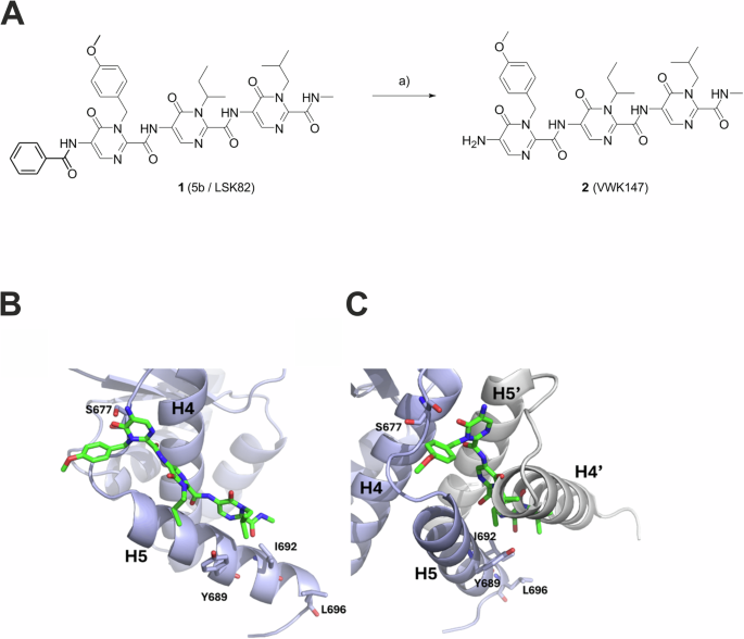 Fig. 1: The structure and synthesis of VWK147, and its predicted binding mode at the CTD dimerization interface of an hHSP90 monomer.