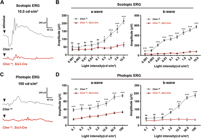 Fig. 3: Ablation of Chm in the retina significantly attenuated visual function.