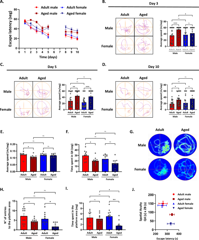 Fig. 1: Spatial memory impairment is sexually dimorphic in aged mice.