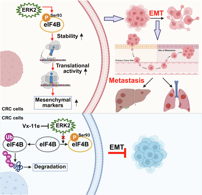 Fig. 8: Schematic illustration of the current study.
