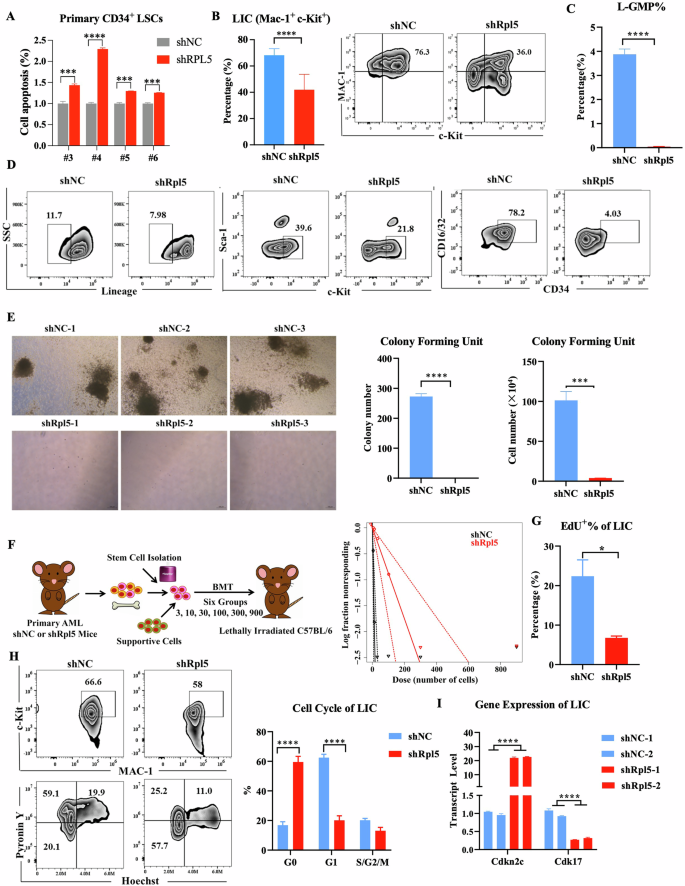 Fig. 4: RPL5 deficiency inhibits LSC frequency and function through a G0-phase cell cycle arrest.