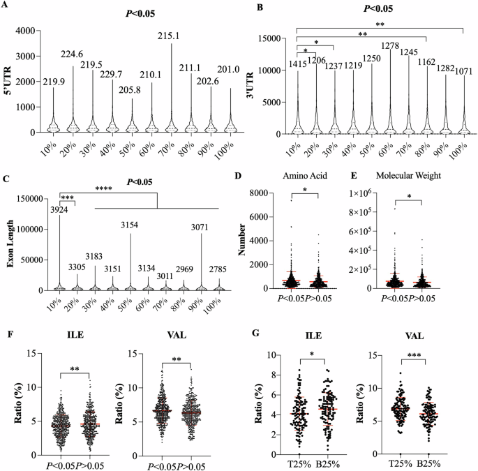 Fig. 7: Proteins with a lower ratio of Ile and a higher ratio of Val are more sensitive to Rpl5 deficiency-induced ribosomal stress.