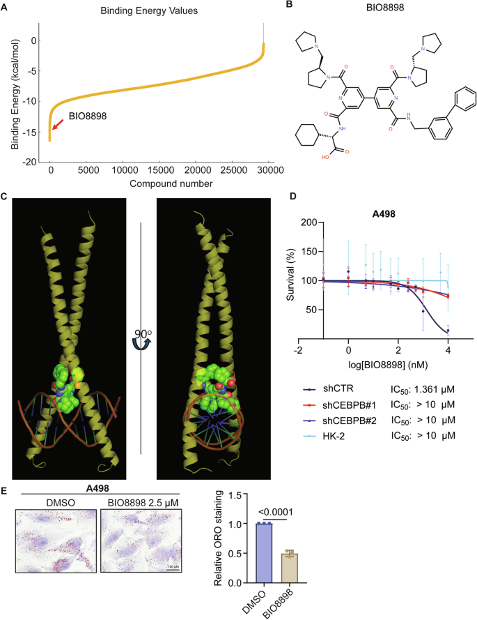 Fig. 8: CEBBP as a valid pharmacological target for ccRCC.
